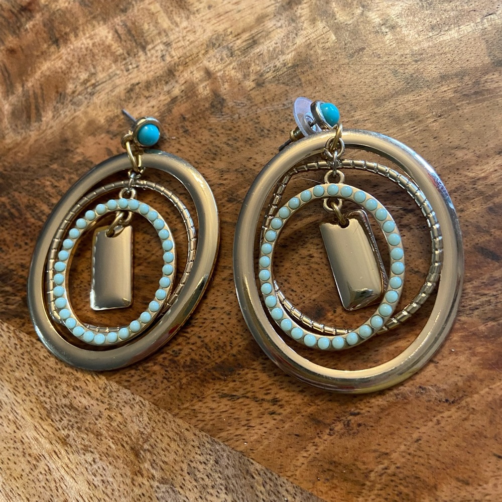Earrings